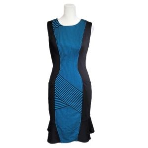 NWT Eva Franco Anthropologie midi sheath dress, zippered, sleeveless Sz 6, $138